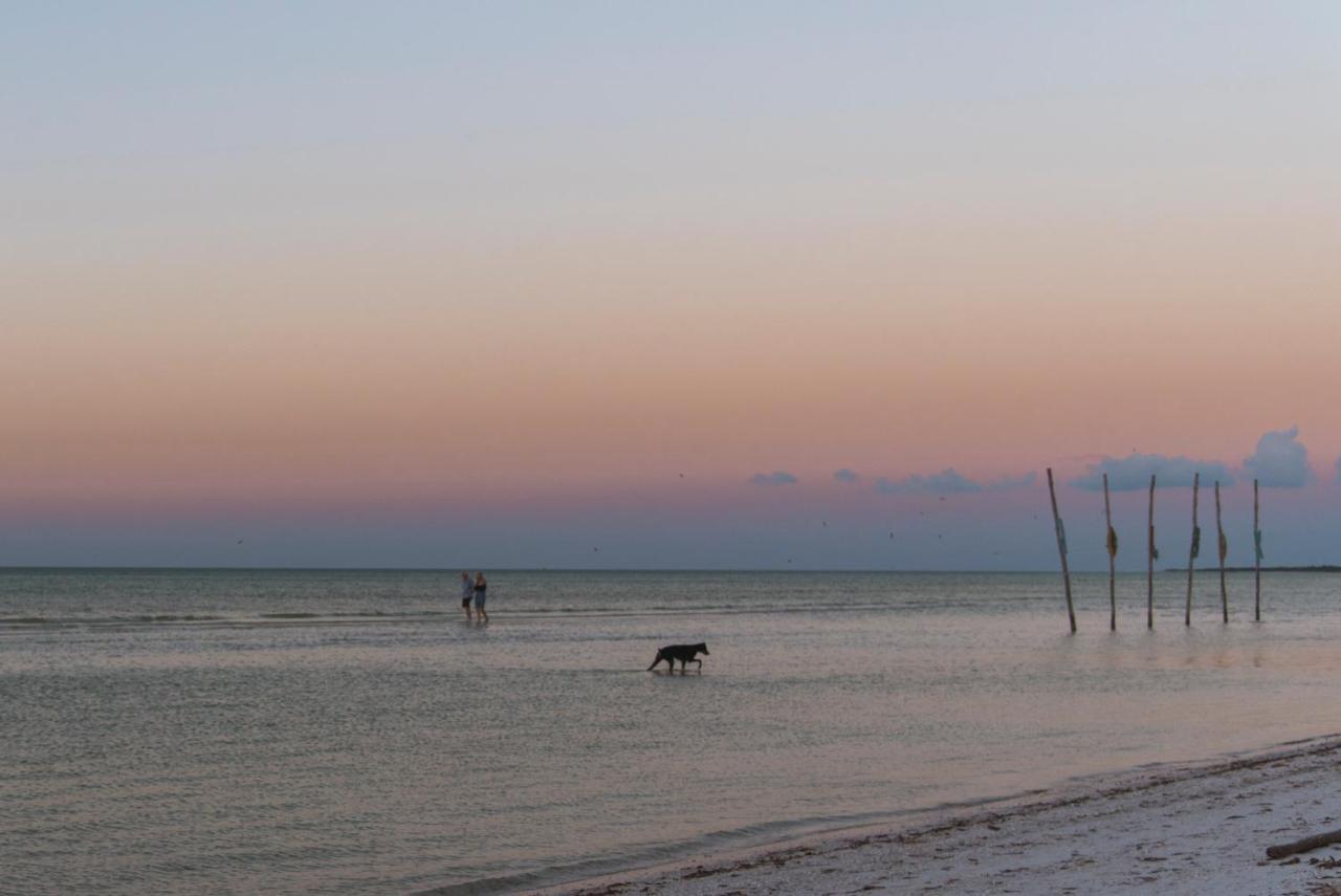 Blue Holbox Hotel Exterior photo